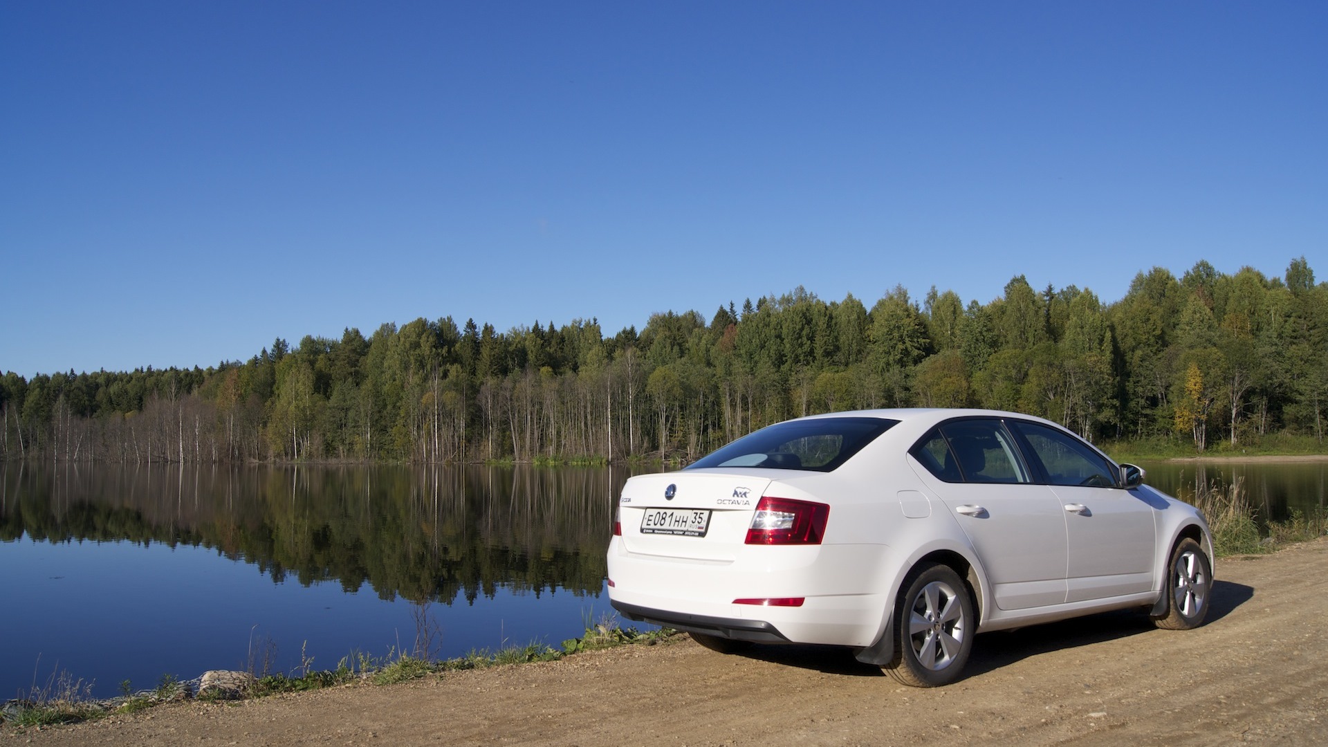 Skoda Octavia A7 Mk3 1.8 бензиновый 2014 | Belaya Medveditsa на DRIVE2