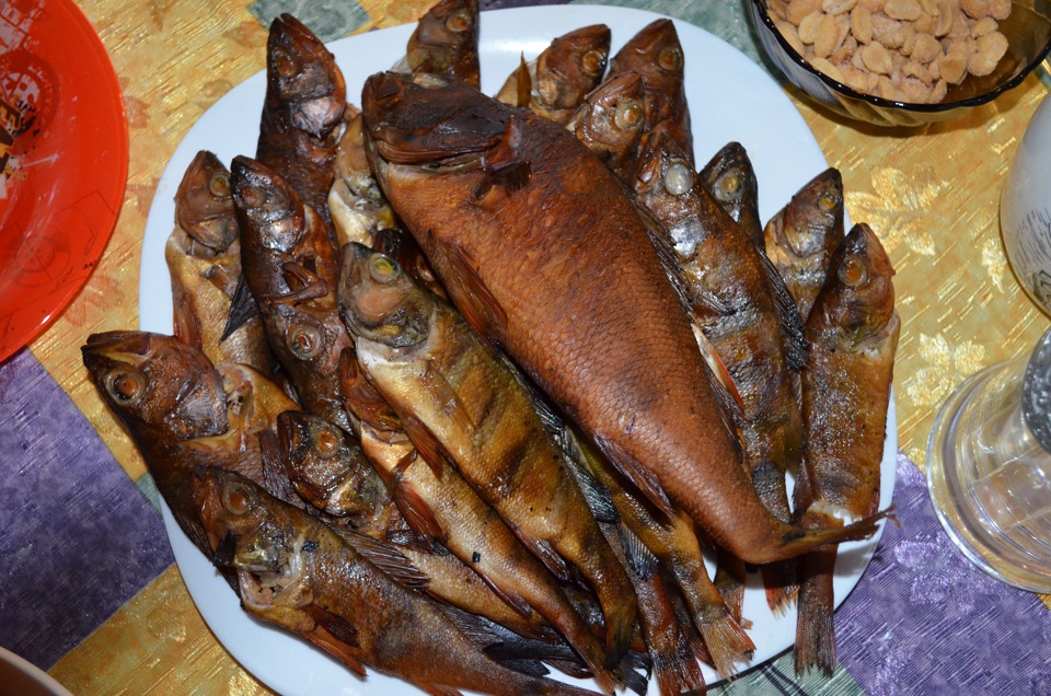 Морской окунь горячего копчения. Рецепт копчения окуня. Морской окунь горячего копчения. Рецепт копчения окуня. Рецепт копчения окуня.