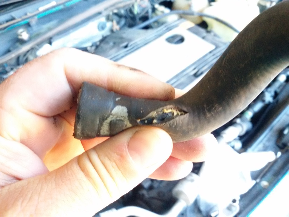 Фото в бортжурнале Volkswagen Passat B3