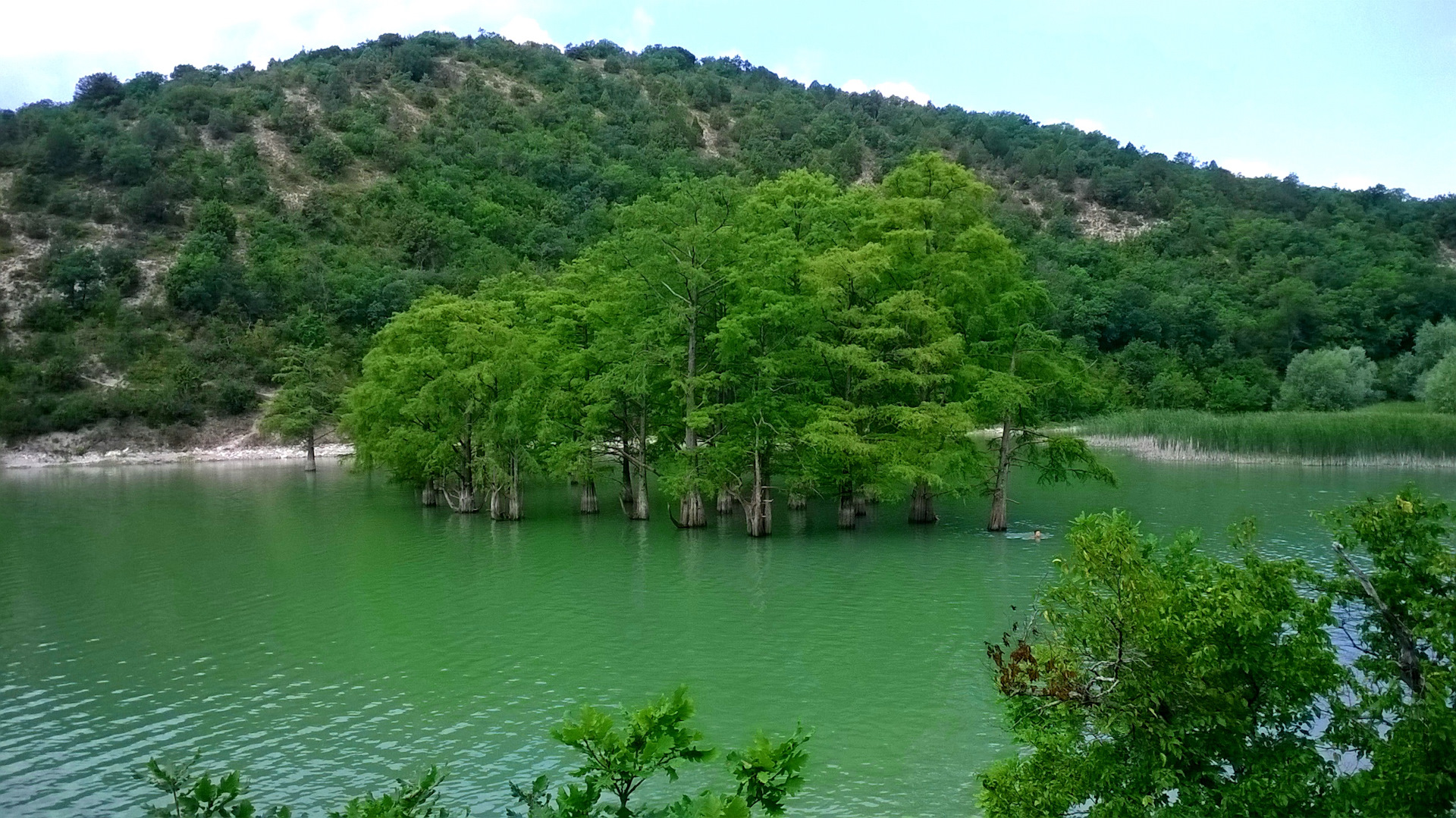 Кипарисовое озеро Абрау