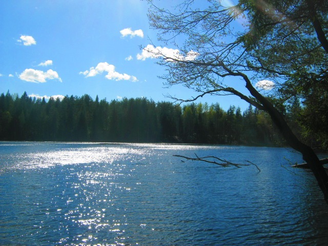 Озеро длинное название. Озеро длинное Ленинградская область. Озеро длинное рыбалка. Платформа озеро длинное. Озеро длинное Ильича.