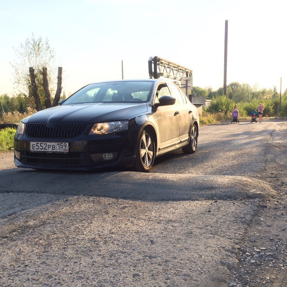 Повзрослел — Skoda Octavia A7 Mk3, 1,6 л, 2014 года | наблюдение | DRIVE2