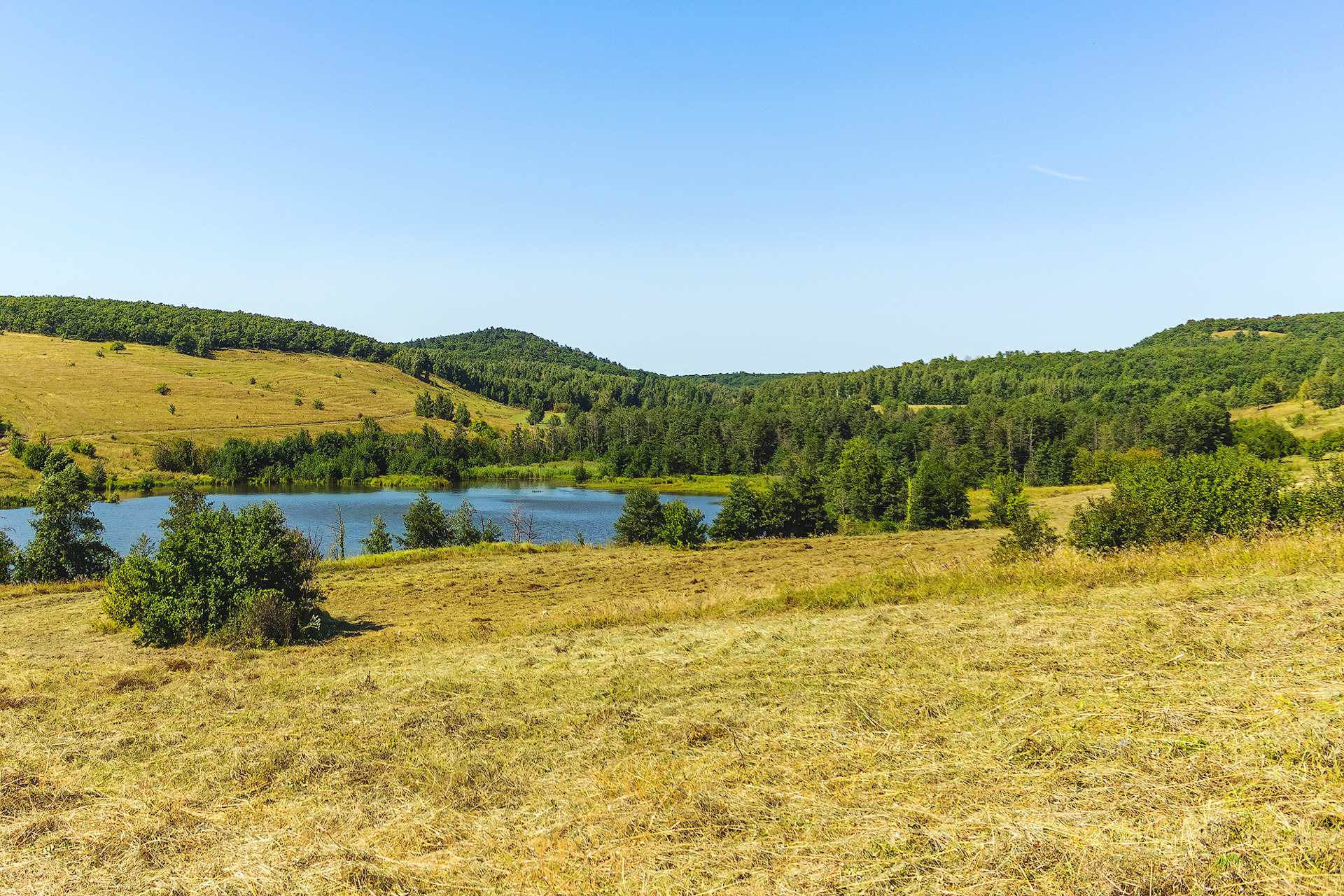 Лох село фото