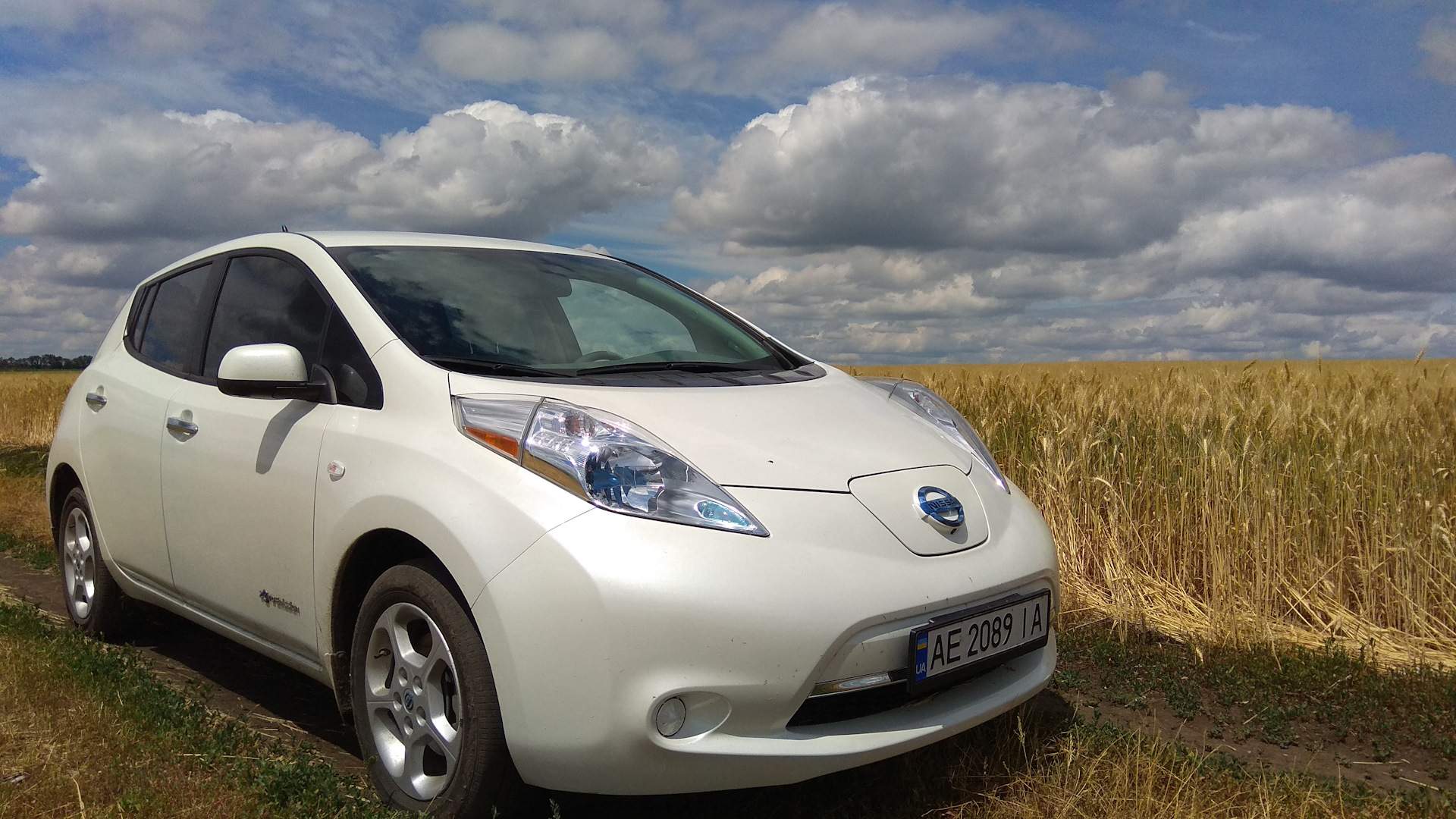 Nissan Leaf 1