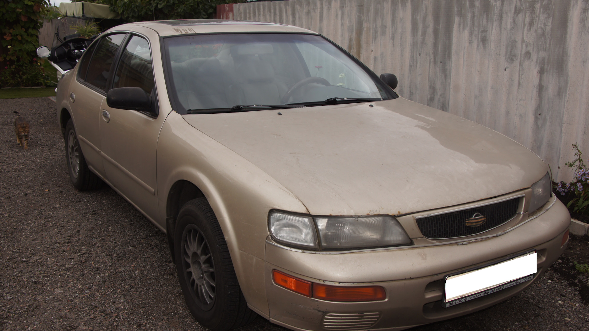 Nissan Maxima IV (A32) 3.0 бензиновый 1995 | на DRIVE2