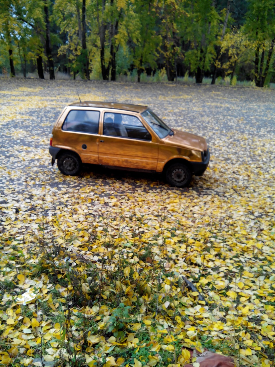 Ока сегодня уровень