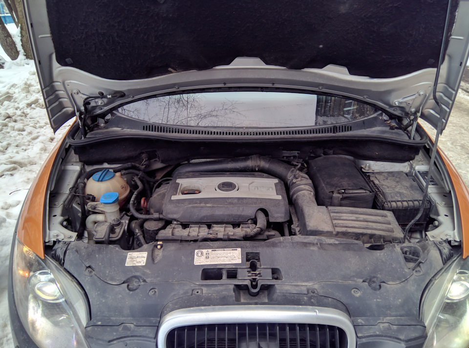 Фото в бортжурнале SEAT Altea Freetrack