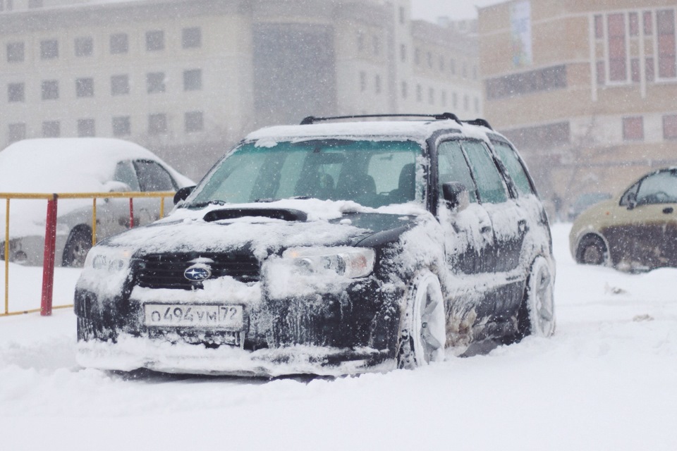 Subaru Forester Snow