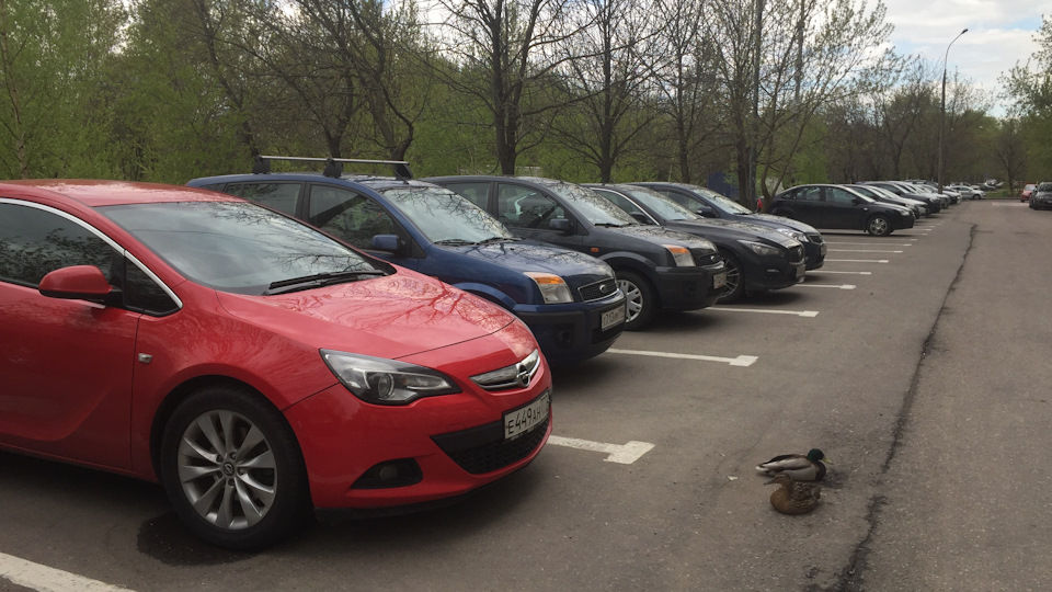 Opel Astra GTC красная