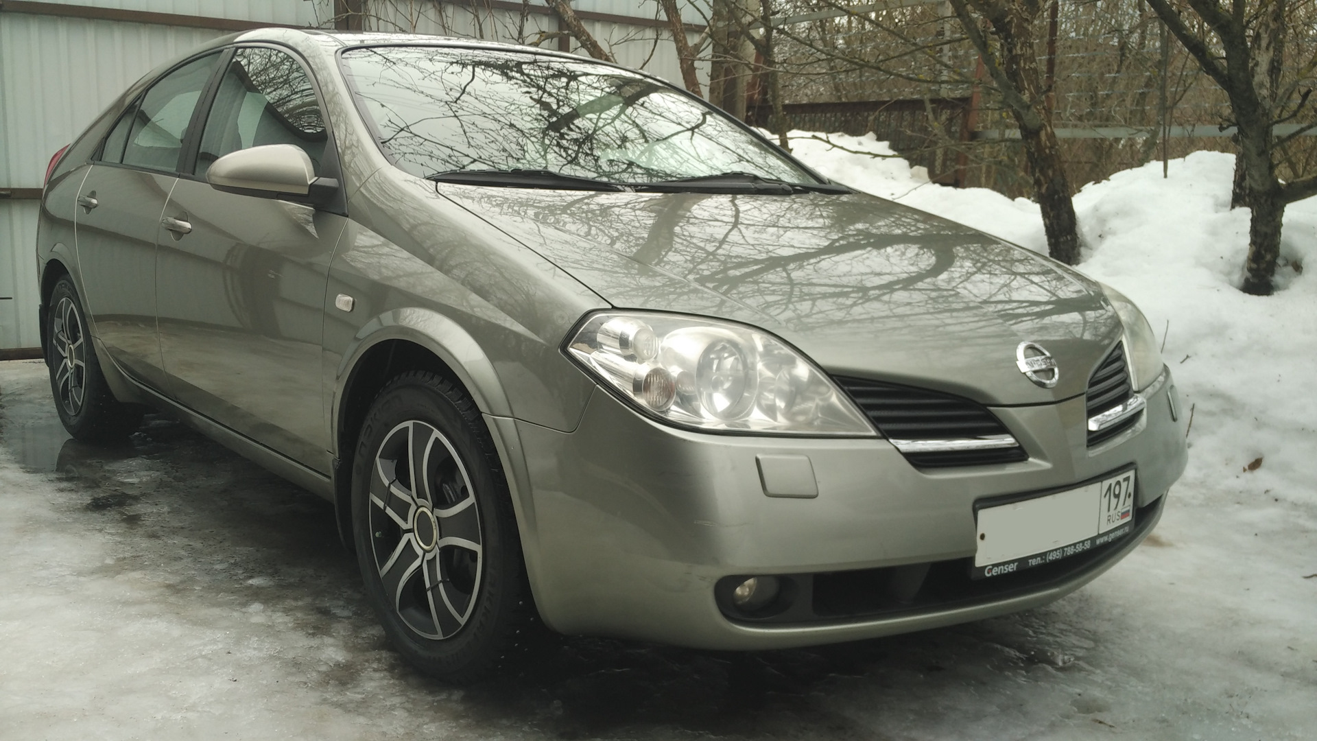 Ниссан примера хабаровск. Nissan primera 2.2 МТ, 2003,. Ниссан премьера Дельфин.