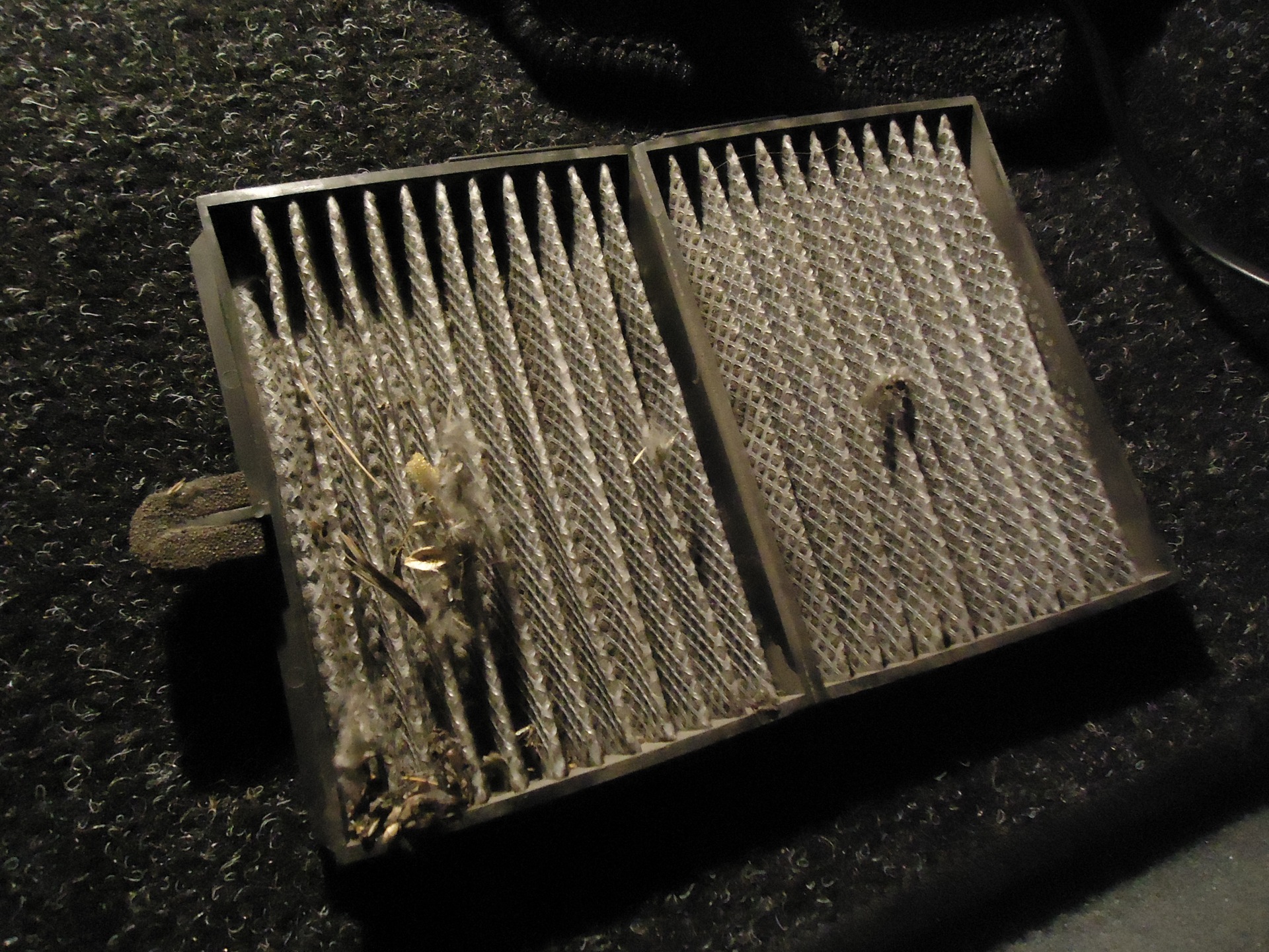 Внутрисалонный фильтр — Toyota Avensis I, 1,8 л, 1998 года | просто так ...