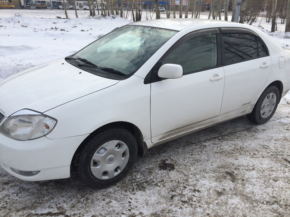 Nze124 corolla. Тойота Королла 124. Тойота Королла 120 кузов 2002. Тойота Королла 124 кузов. Toyota Corolla 120.