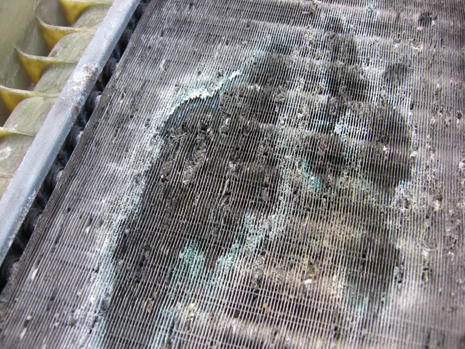 Фото в бортжурнале Peugeot 406