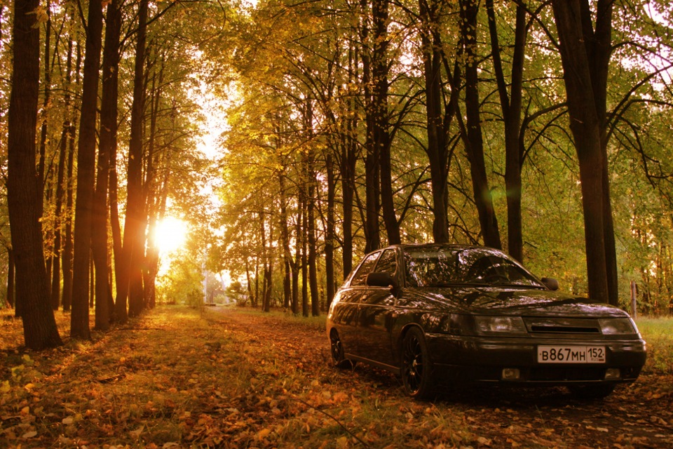 Фото машина в лесу