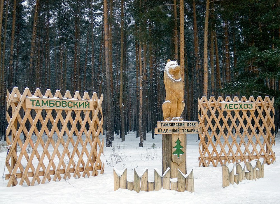 Памятник тамбовскому волку в тамбове фото