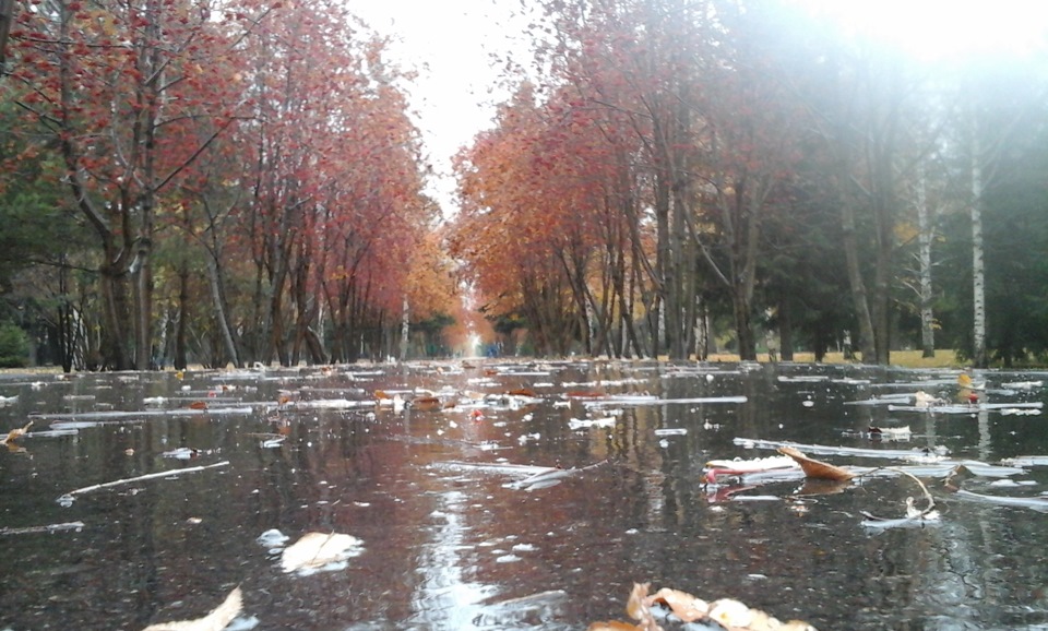 Осень-осень…Лес остыл и листья сбросил… — DRIVE2