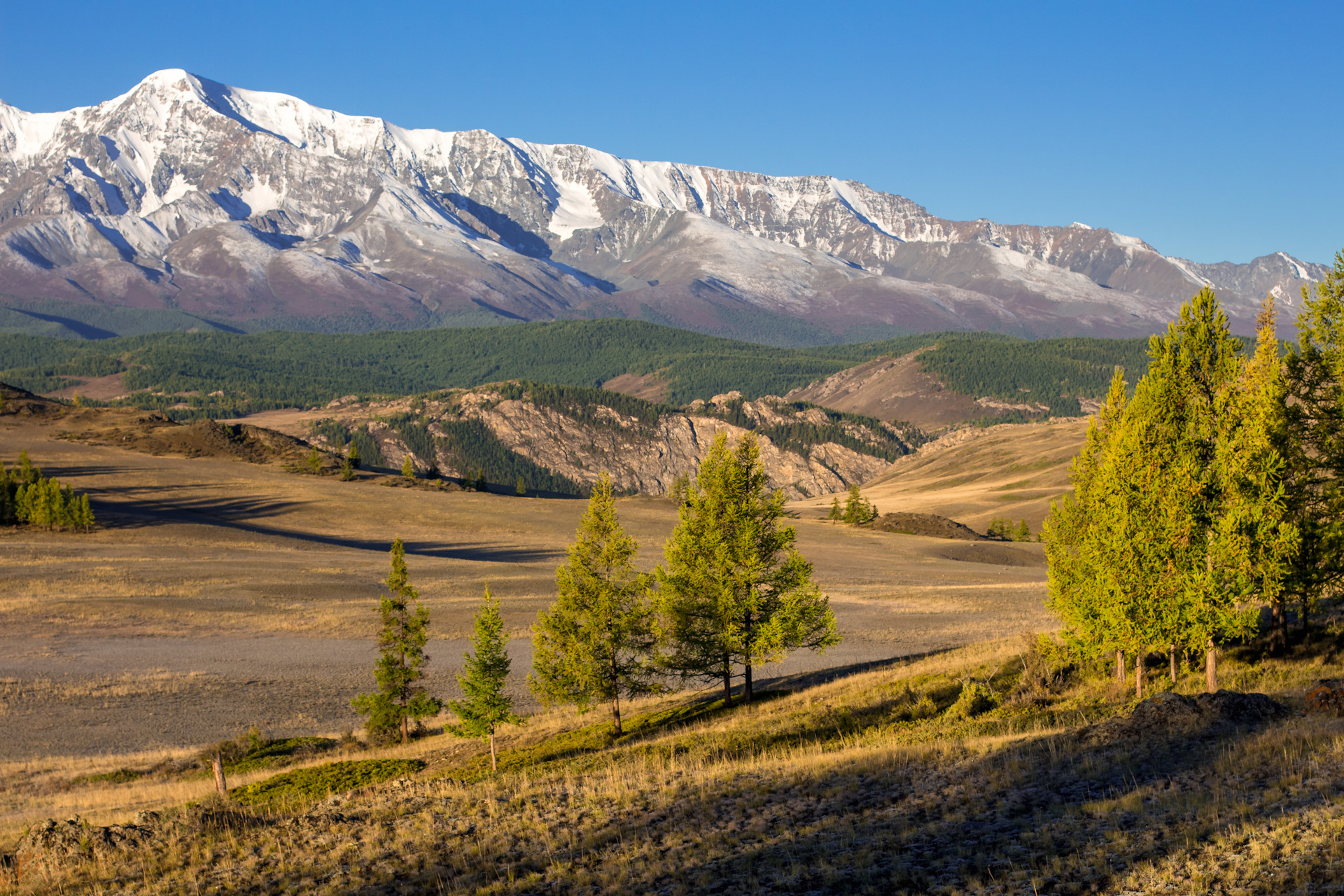 Расположенное в долине. Курайская степь горный Алтай. Курайская Долина горный Алтай. Северо-Чуйский хребет горный Алтай. Курайская степь Северо Чуйский хребет.