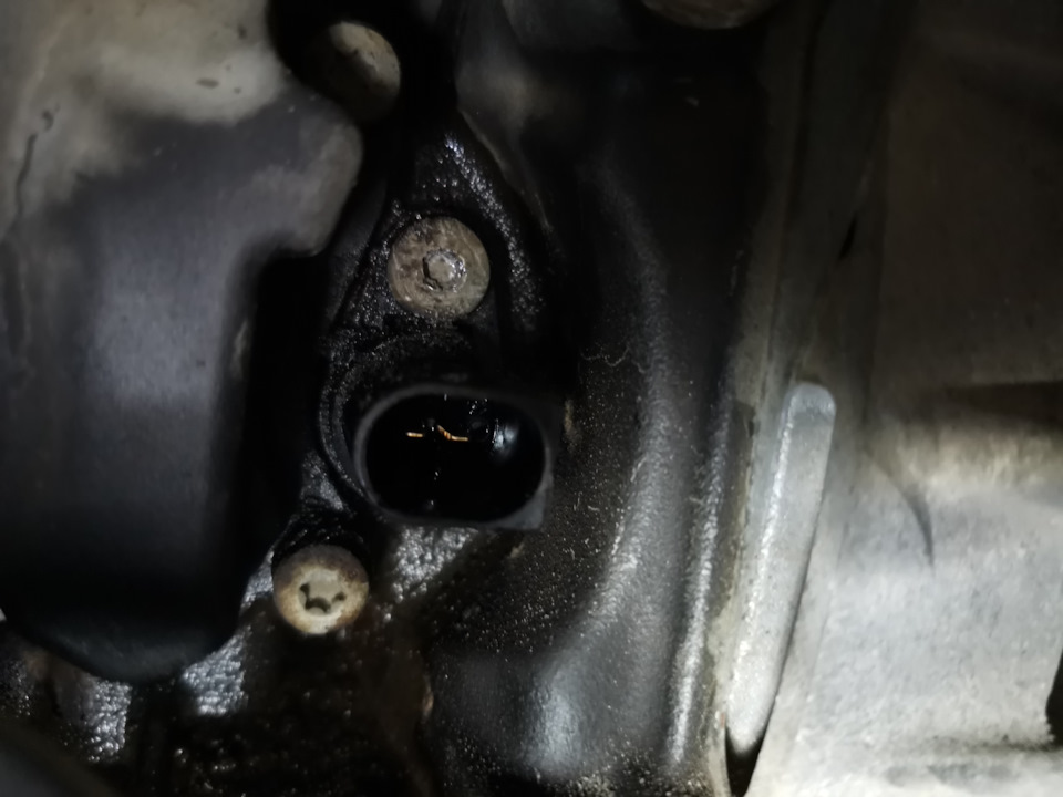 Фото в бортжурнале Volkswagen Tiguan (1G)