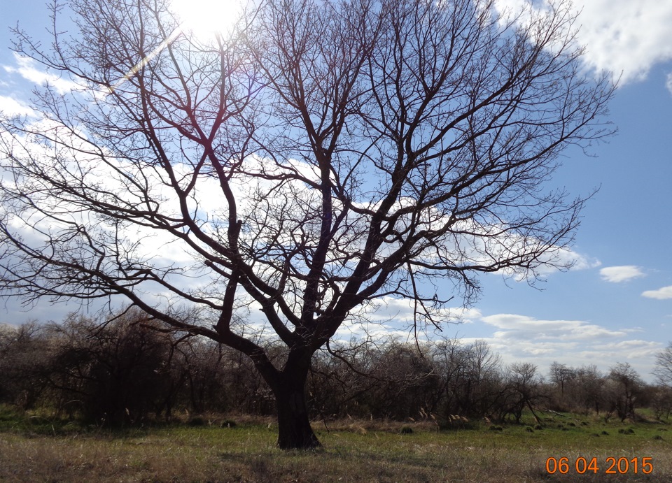 Вылазка на природу апрель 2015 — DRIVE2