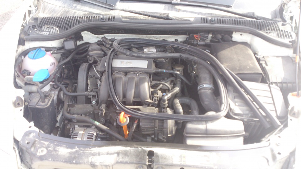 Герметизируем двигательный отсек! — Skoda Octavia A5 Mk2, 1,6 л, 2011 ...