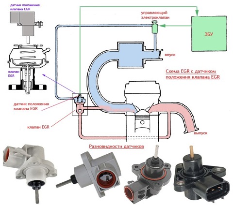 Датчик положения клапана егр