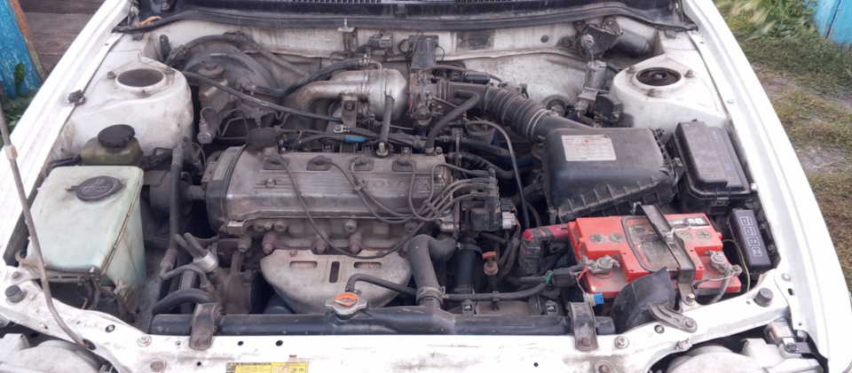 Мойка движка. — Toyota Corolla (100), 1,5 л, 1997 года | мойка | DRIVE2