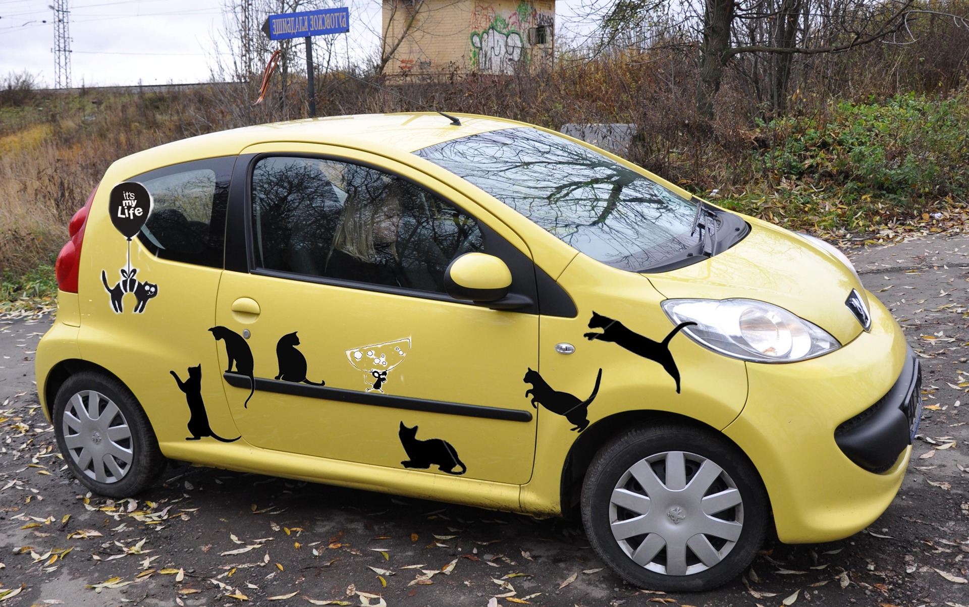 Наклейки — Peugeot 107, 1 л, 2007 года | тюнинг | DRIVE2