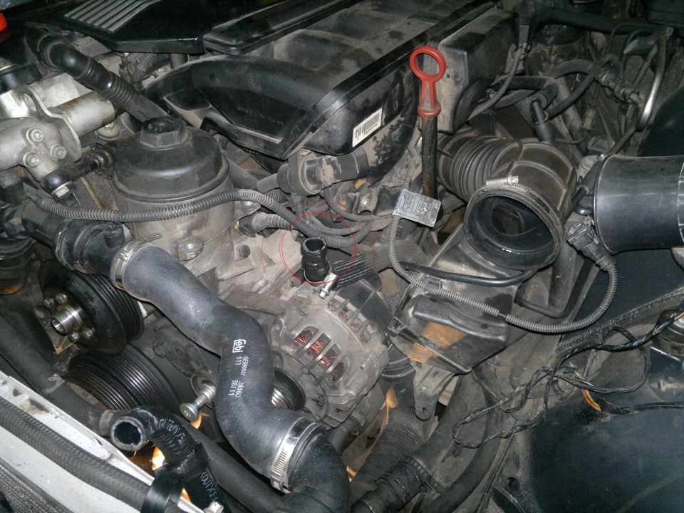 Ремонт продолжается. Масло в гуре. — BMW 5 series (E39), 2,5 л, 2001 ...