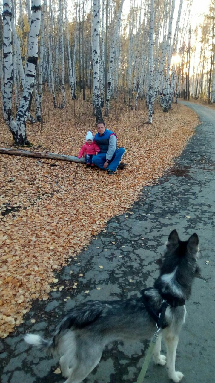 как то раз выбрались немного свежим воздухом по дышать — DRIVE2