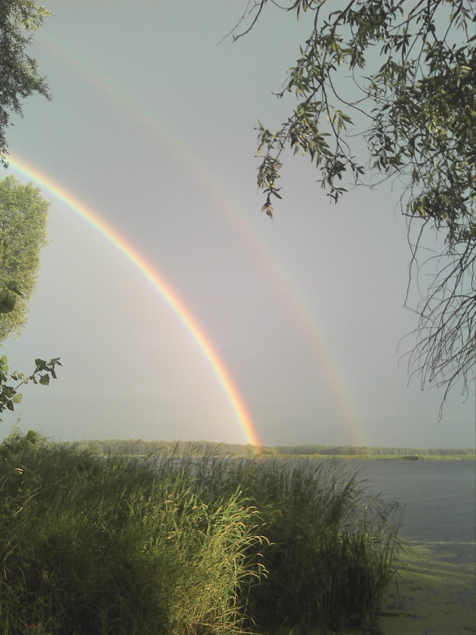 день прошел не зря… — Ford Sierra, 2 л, 1989 года | своими руками | DRIVE2