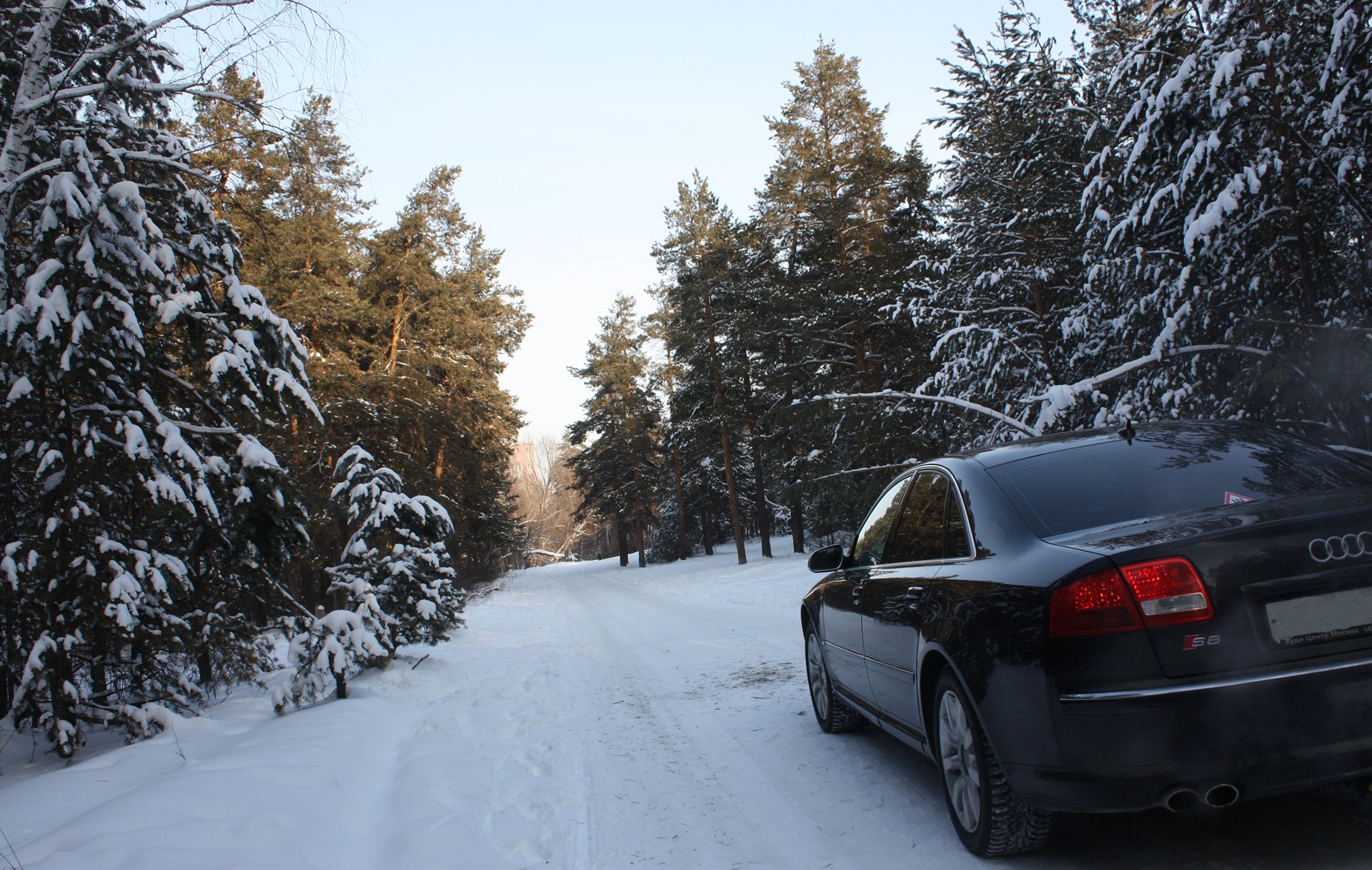 6 зимы. Ауди а8 в снегу. Audi a6 зима. Audi rs6 зима.