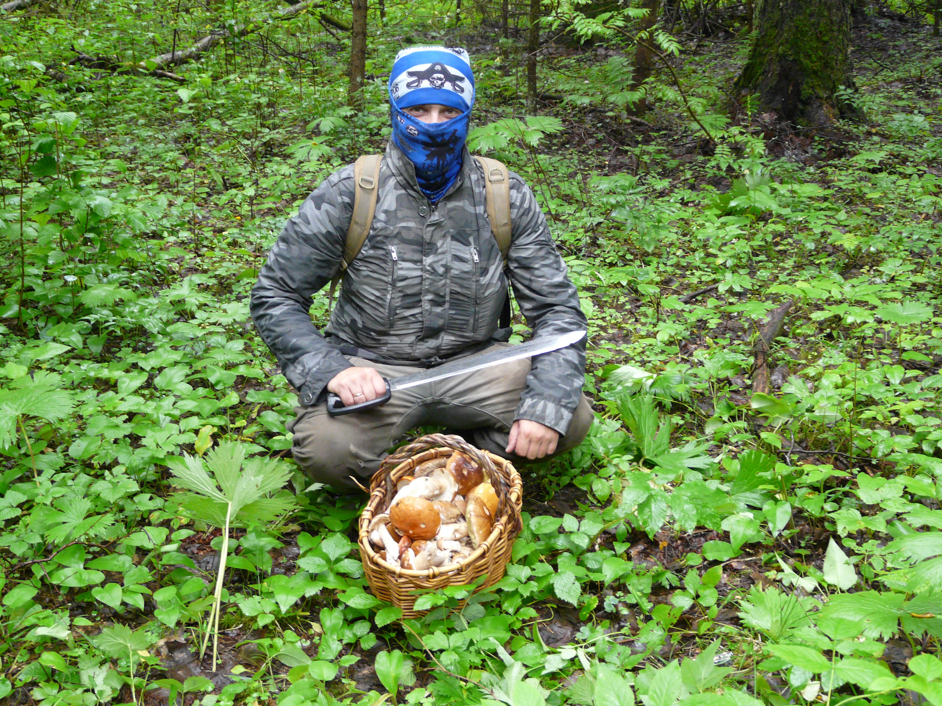 Тихая охота собирание грибов