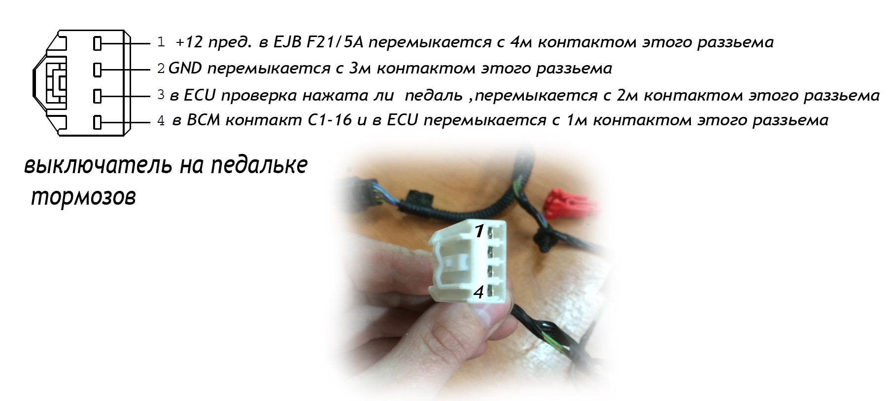 разъемы блока tcm ford focus 3. распиновка блока всм форд фокус 3. распиновка форд фокус 3. распиновка форд фокус 3. распиновка форд фокус 3.