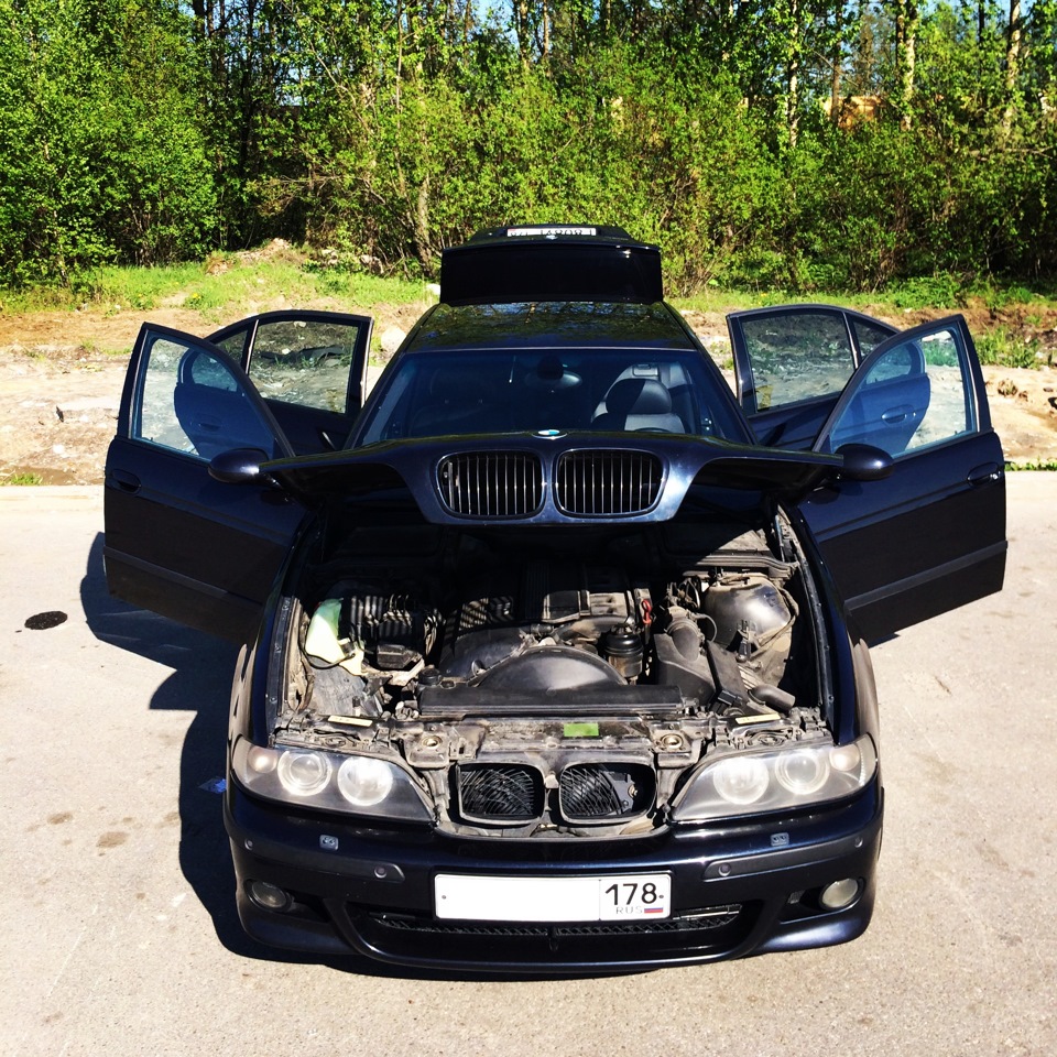 Аудиоподготовка Alpine — BMW 5 series (E39), 2,5 л, 2003 года | автозвук |  DRIVE2