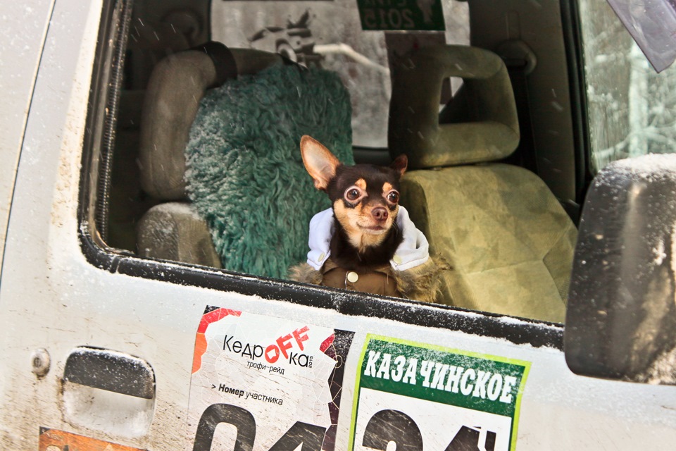 Фото в бортжурнале Suzuki Jimny (1G)