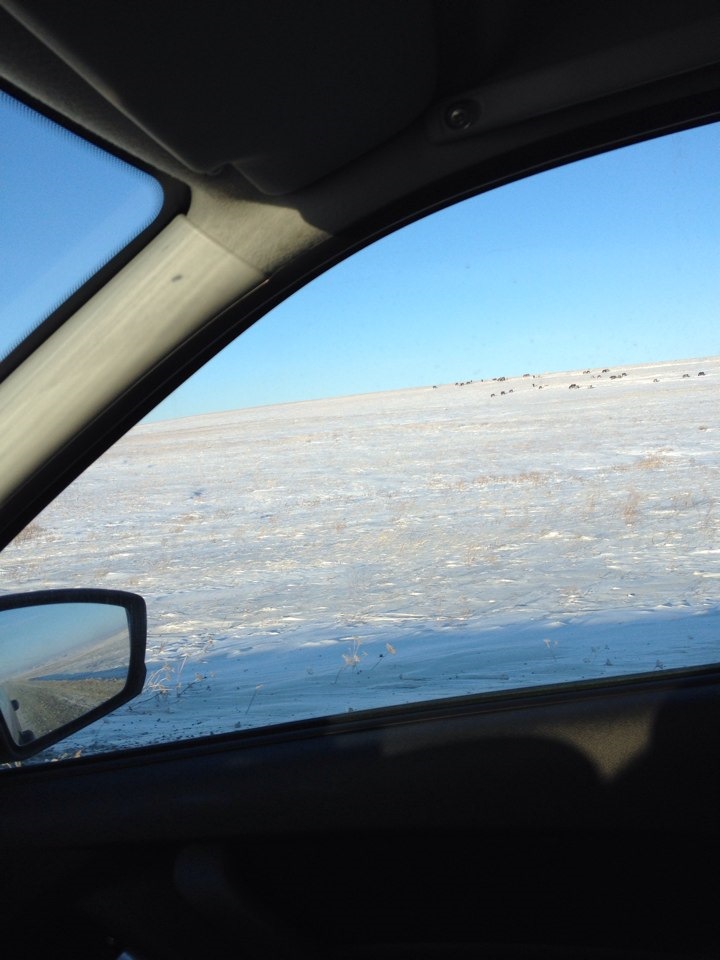 Прошивка ММС — Lada Гранта лифтбек, 1,6 л, 2014 года | электроника | DRIVE2