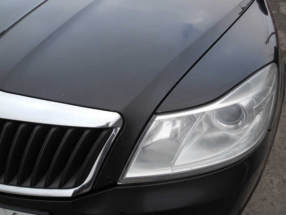 мелкие сколы на капоте — Skoda Octavia A5 Mk2