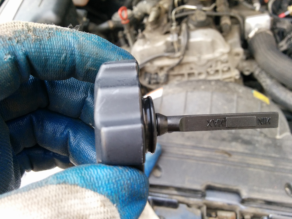 В профиль — SsangYong Kyron