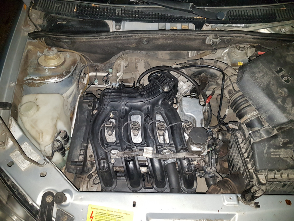 Обрыв ремня ГРМ — Lada Калина универсал, 1,4 л, 2011 года | визит на ...