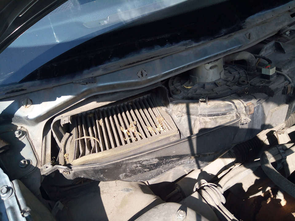 налет антифриза на лобовом — Lada Приора седан, 1,6 л, 2010 года ...