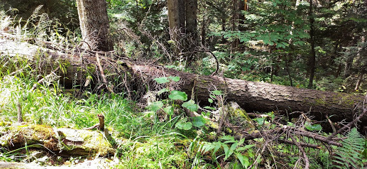 Фото в бортжурнале Haval H6 (1G)