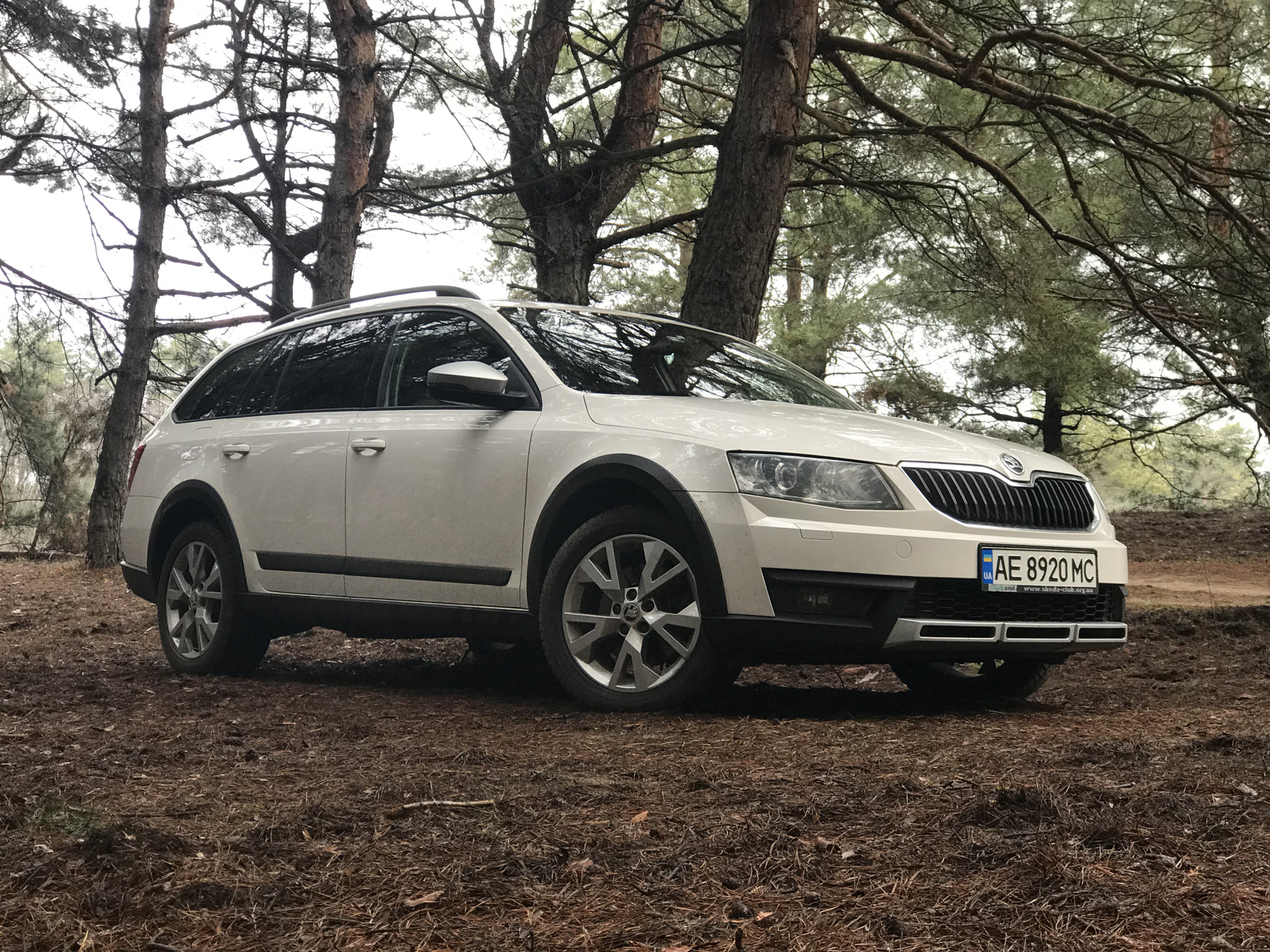 Владельцы шкода скаут. Шкода Октавия Скаут 1.8. Škoda Octavia Scout 2015. Шкода Октавия Скаут 2015 года. Octavia a8 Scout.