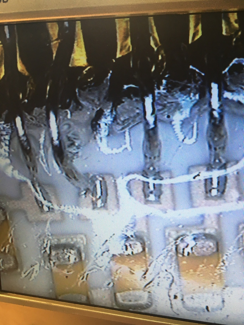 Фото в бортжурнале BMW 5 series (E39)