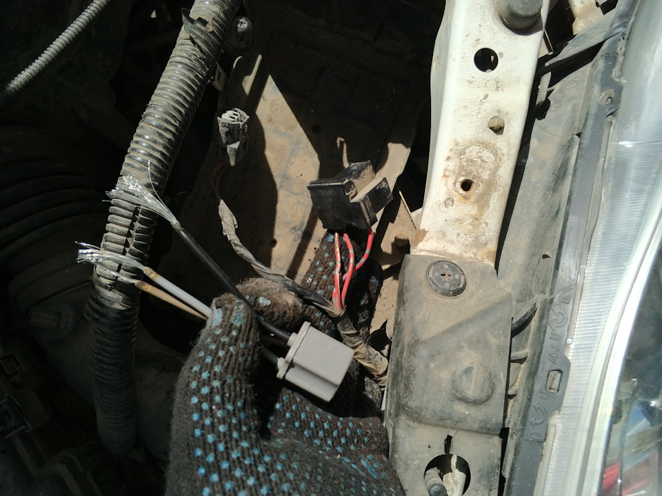 Замена цоколя под лампы — Honda Civic Hatchback (7G), 1,5 л., 2001 года ...