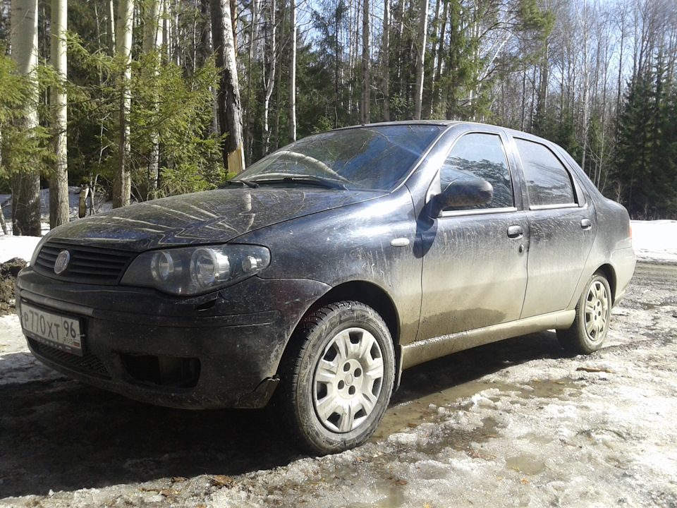 Треснулся бампером в дорожный отбойник… — FIAT Albea, 1,4 л., 2011 года ...