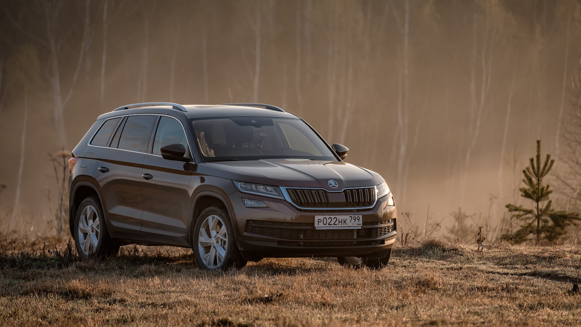 Skoda Kodiaq 2