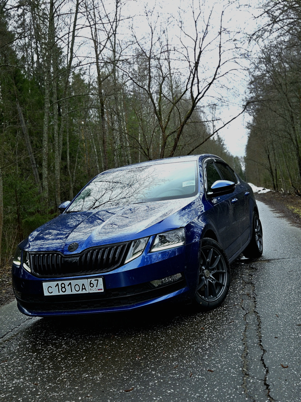 Из повозки рассады в машину для души, часть 2 — Skoda Octavia A7 Mk3, 1,6  л, 2018 года | тюнинг | DRIVE2