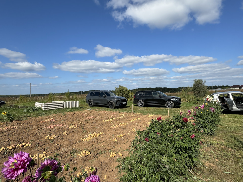 Фото в бортжурнале BMW X7 (G07)