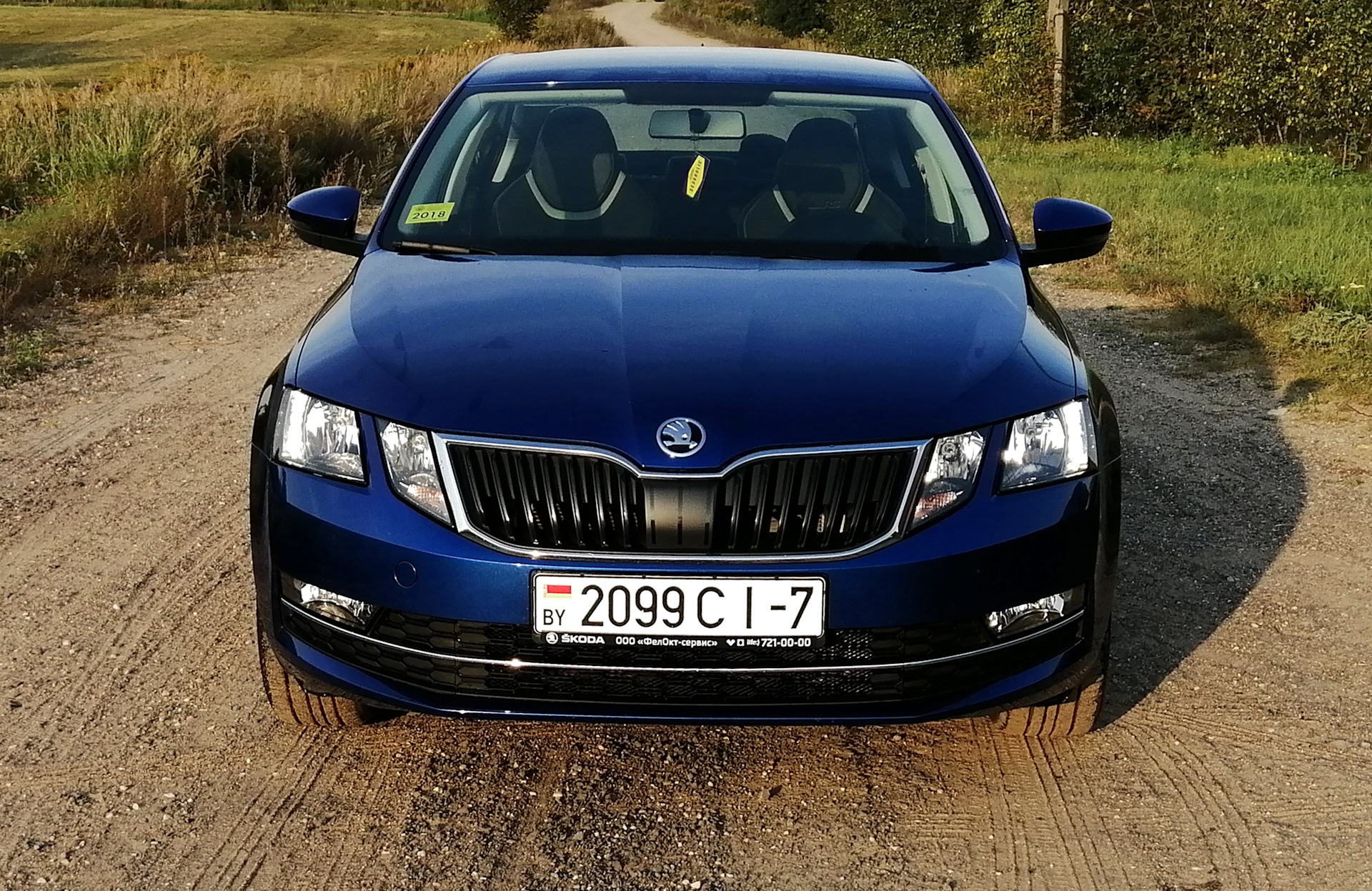 Skoda fl. Skoda a7 FL. Skoda Octavia a7 FL. Octavia a7 FL синяя. Skoda Octavia a7 FL Blue.