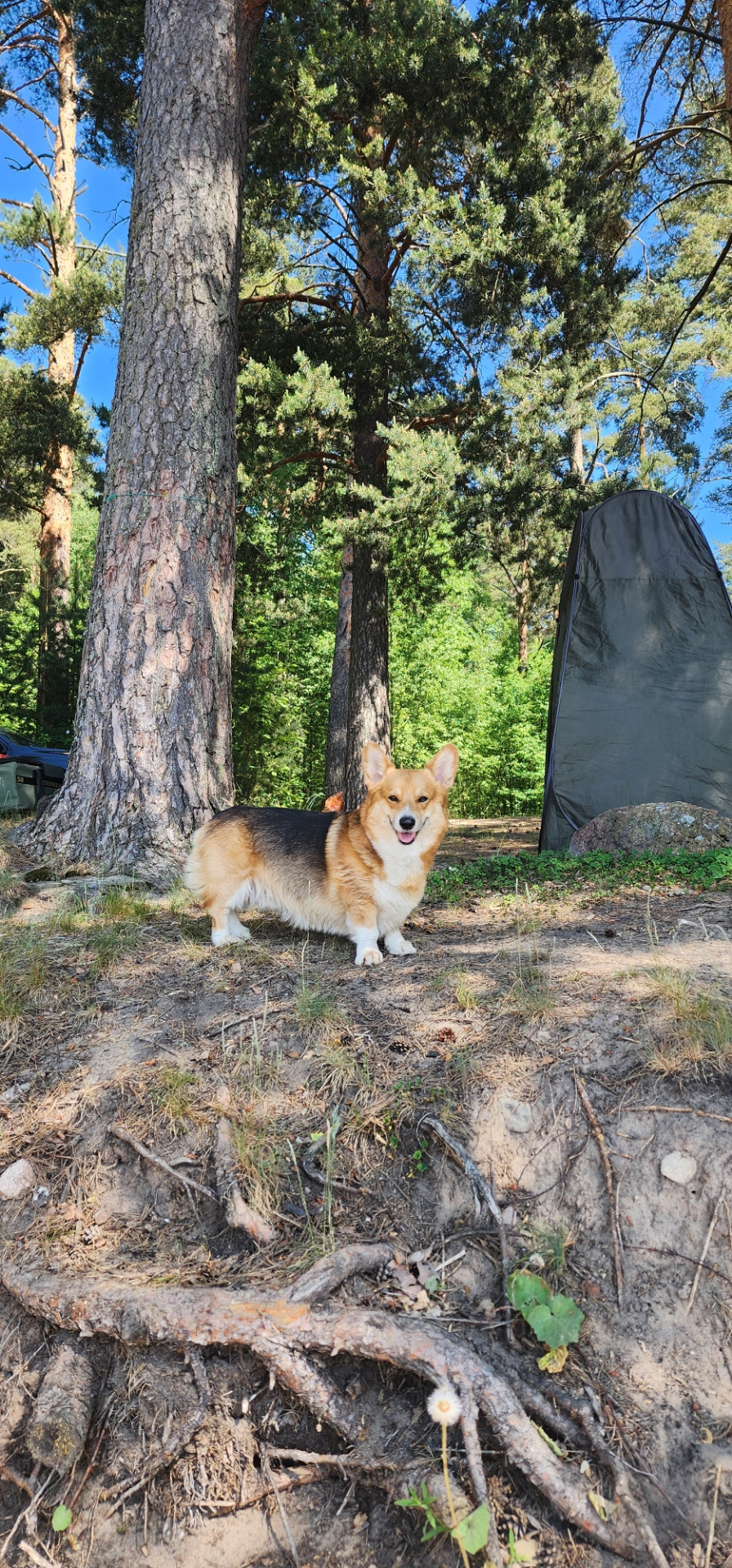 Фото в бортжурнале Mitsubishi Pajero Sport (3G)